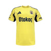 Fenerbahce Alternativa 25/26