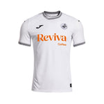 Swansea City Principal 25/26