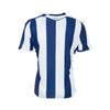 West Bromwich Albion Principal 25/26