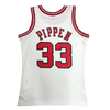 Chicago Bulls 1997-98